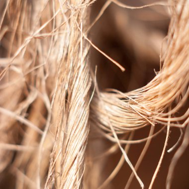 Çok kirlenmiş endüstriyel bir fabrikanın kalıntıları, sanayi serisi.