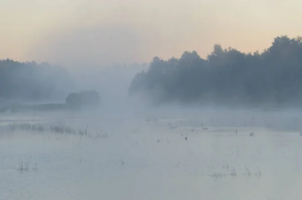 Jezero — Stock fotografie