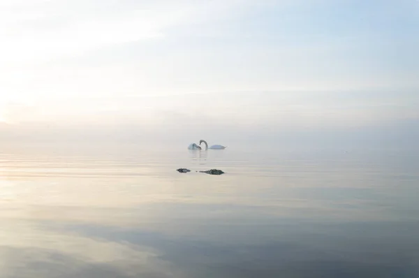 湖 — ストック写真