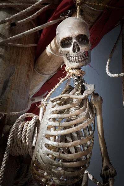 Крупним Планом Вид Людського Скелета Висить Темному Небі — стокове фото