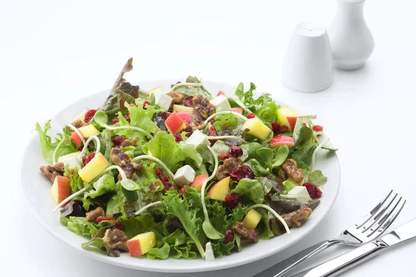Taze Sebze Salatası Bakış Beyaz Arka Plan Üzerinde Kapatın — Stok fotoğraf