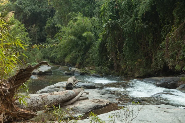 Vista Panorâmica Cachoeira Agradável Lagoa Ambiente Tropical Verde — Fotografia de Stock