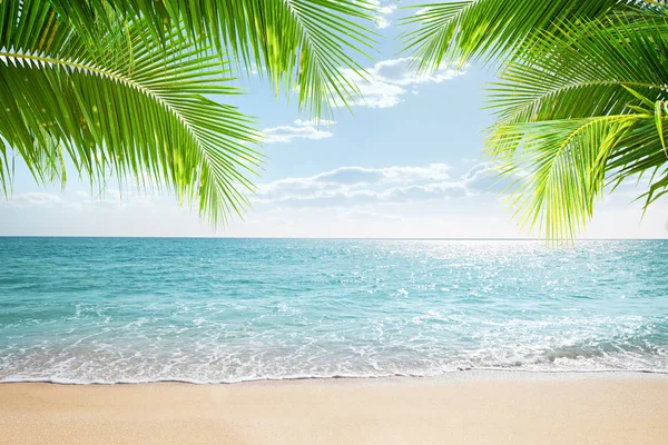 Vista Praia Tropical Agradável Com Algumas Palmas — Fotografia de Stock