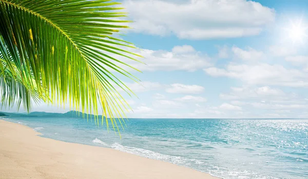 ヤシの木がある素敵な熱帯のビーチの眺め — ストック写真