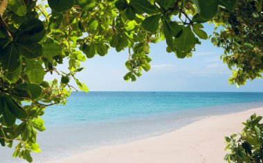 Bazı güzel tropikal plaj görünümünü yapraklar