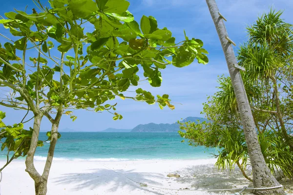 Blick Auf Schönen Tropischen Strand Mit Einigen Palmen — Stockfoto