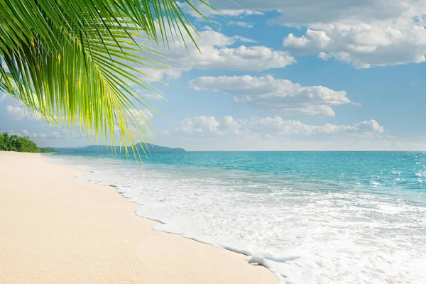 Blick Auf Schönen Tropischen Strand Mit Einigen Palmen — Stockfoto