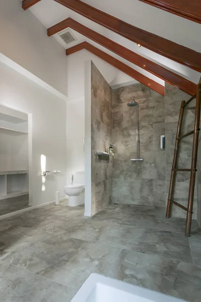Vista Agradável Azulejos Contemporânea Moderna Banheiro — Fotografia de Stock