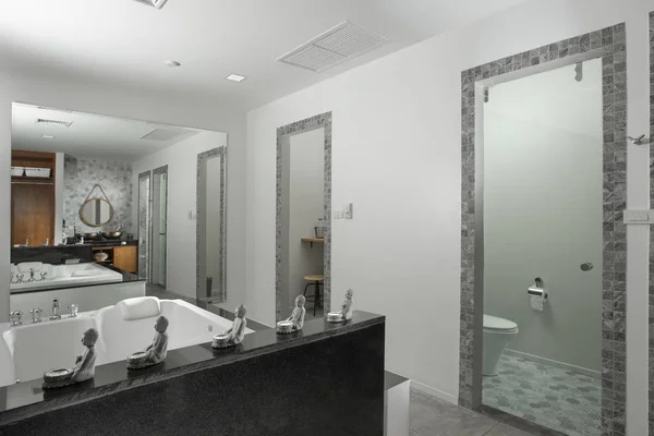 Vista Bello Stile Moderno Colore Grigio Bagno Interno — Foto Stock