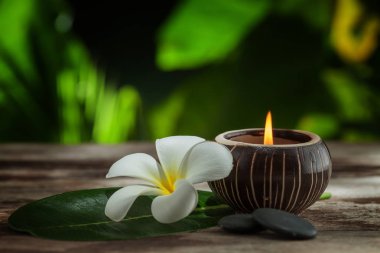 spa Tema nesnelerin bir görünümünü yeşil sırt yukarıya kapatmak