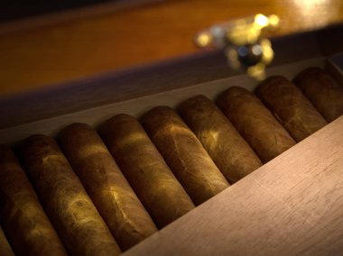 ahşap humidor küba el puro yapılmış kutusunun yakın görünümü