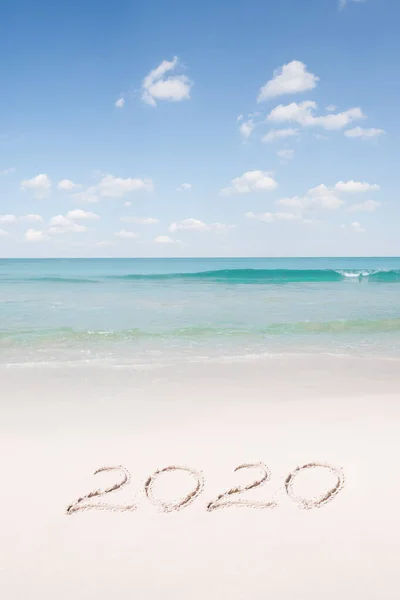 Vista Bom Natal Ano Novo Tema Praia Tropical — Fotografia de Stock