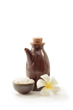 Beyaz sırtlı tuz ve yağ manzarasını kapat. 