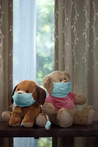 Close up view of toy dog and teddy bear with medial mask on its face