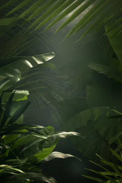 Fragment Uitzicht Mooie Mist Groene Tropische Jungle — Stockfoto