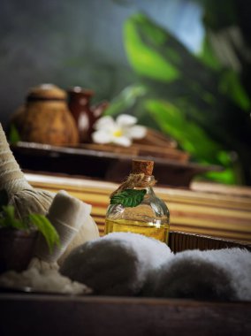 Renkli tropik otantik sırt üzerindeki spa temalı nesnelerin görünümü