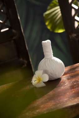 Arkadaki beyaz bitkisel sıkıştırma görüntüsünü kapat. 