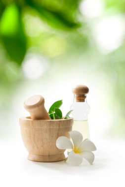 Yeşil yapraklı havan ve yağ manzarasını kapatın.