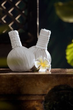 Bitkisel masaj görüntüsünü kapat Otantik renk üzerine sıkıştırma. 