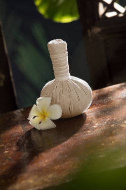 Bitkisel masaj görüntüsünü kapatın. Yeşil sırta sıkıştırın.. 