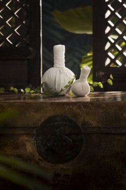 Bitkisel masaj görüntüsünü kapatın. Yeşil sırta sıkıştırın.. 