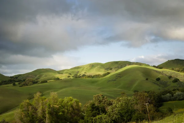 Panoramablick Auf Schöne Grüne Sommerhügel Auf Blauem Himmel Hintergrund — Stockfoto