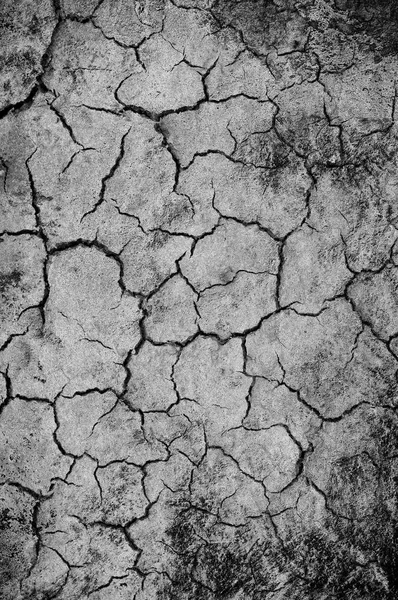 Dry Soil Background Cracked Earth — Stock Photo, Image