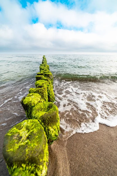 海藻の生い茂った古い防波堤の風景 — ストック写真