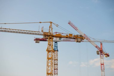 mavi gökyüzü arka plan üzerinde üç Vinçler