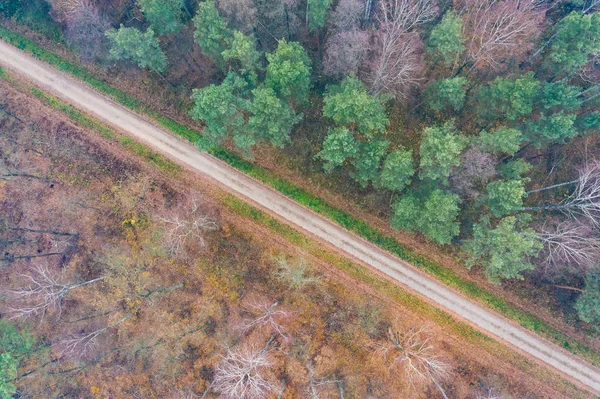 Weg Tussen Herfst Bomen Bekijk Van Bovenaf — Stockfoto