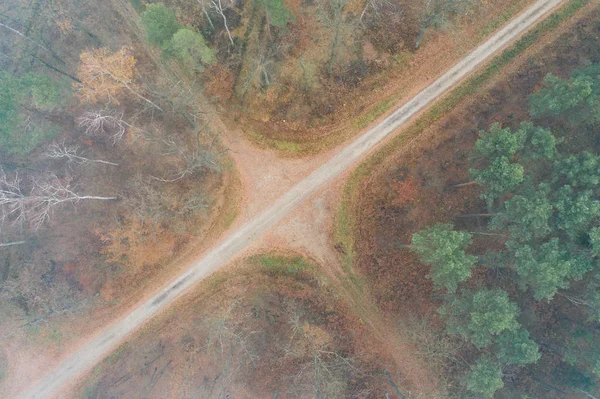 葉の落ちた森 秋にかけて道路を上から表示します — ストック写真
