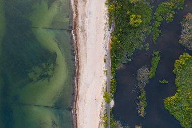 deniz ve mangrovlar arasında bisiklet yolu