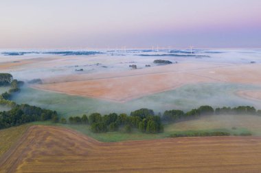 alanlarda sis, arka planda rüzgar türbinleri