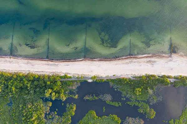 Pista ciclabile tra mare e mangrovie — Foto Stock