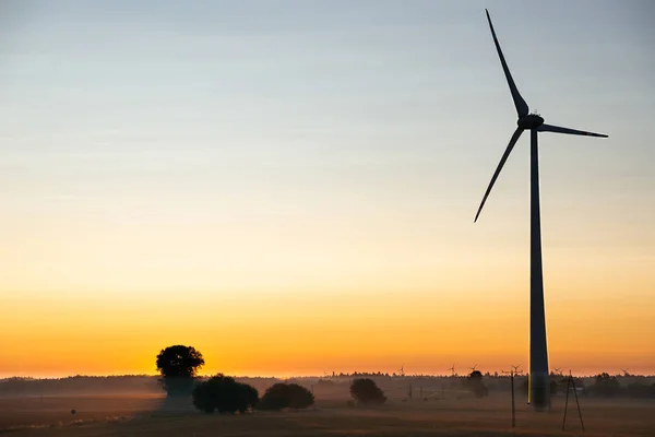 Вид на ветряную турбину утром — стоковое фото