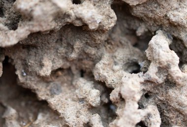 İlginç bir taşın makro çekimi