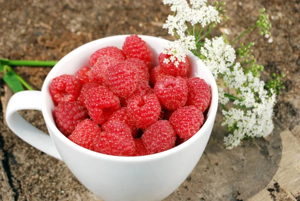 White Mug Ripe Raspberry White Delicate Flowers — Stock Photo, Image