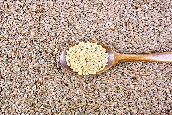 Weiße Leinsamen Einem Holzlöffel Vor Braunem Leinsamen — Stockfoto