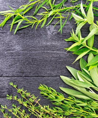 Tuzlu yapraklar, tarhun, adaçayı ve kekik ağacından bir çerçeve.