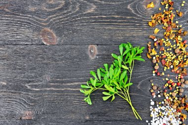 Tuz, biber ve çam ağacı tohumlarıyla dolu taze yeşil bir soba.
