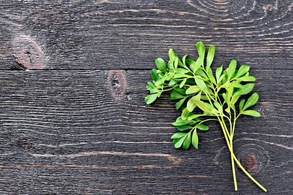 Ramitas Ruda Verde Fresca Sobre Fondo Tablero Madera Negro — Foto de Stock