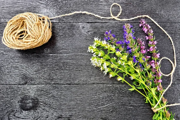 Ein Bündel Frisches Bohnenkraut Mit Grünen Blättern Und Blüten Eine — Stockfoto