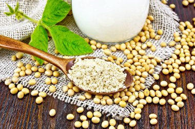 Bir kaşıkta soya unu, cam sütte süt, soya fasulyesi ve tahta arka planda çuval bezi yaprağı.