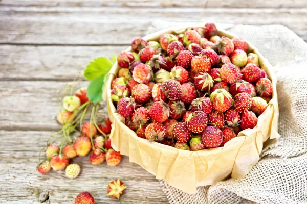 Άγρια Ώριμες Φράουλες Σημύδα Φλοιός Κουτί Λαδόκολλα Λινάτσα Στο Φόντο — Φωτογραφία Αρχείου