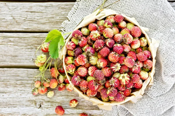 Wild Ripe Strawberries Birch Bark Box Parchment Burlap Background Old — Stock Photo, Image