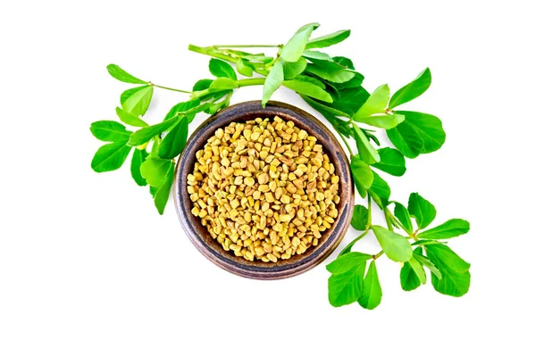 Fenugreek with green leaves in bowl on top — Stock Photo, Image