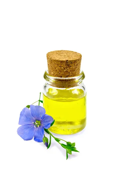 Olja linenseed med blomma — Stockfoto