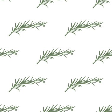 baharat beyaz, arka planda rosemary ile Seamless modeli, biberiye ile duvar kağıdı şubeleri