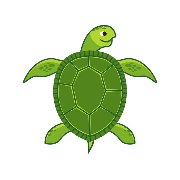 Зеленая Черепаха Изолирована Векторная Иллюстрация Белом Фоне — стоковый вектор