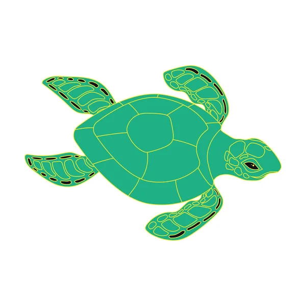 Banner Met Gekleurde Schildpad Witte Heldere Achtergrond Met Groene Schildpad — Stockvector